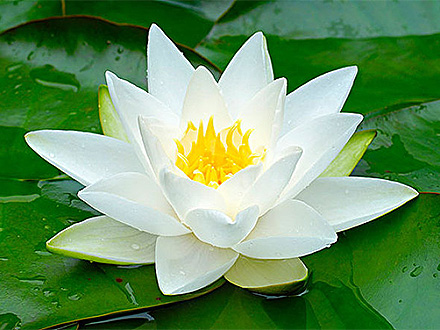 武汉市芹欣供应链管理有限公司
